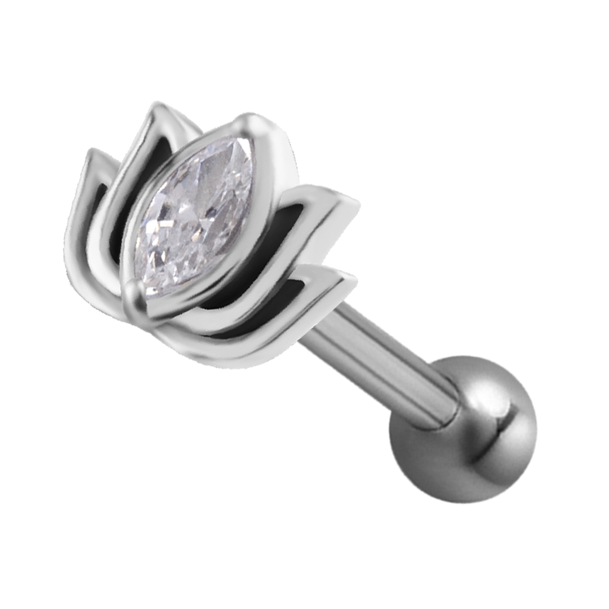 Helix loto con brillo